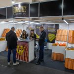 Anfamec Expo 2022